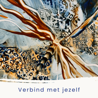 Donderdag 8 november 13:30-15:30