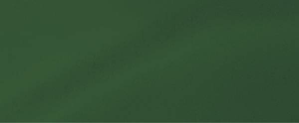 Sapgroen - 45