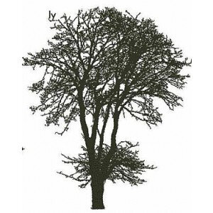 Encaustic Art stempel - es