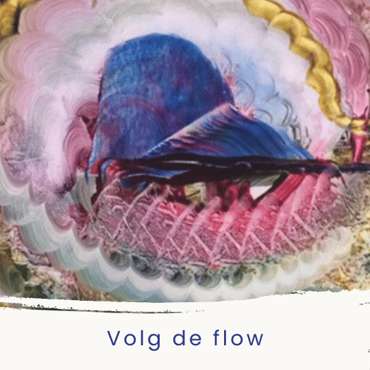 Vrijdag 7 november 10:00-15:00 