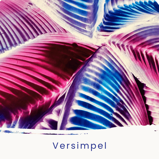 Donderdag 8 november 13:30-15:30