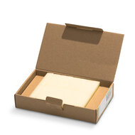 Encaustic Art Wachs- (27) Transparent - Schachtel 16 Stk.