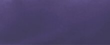 Blauwviolet - 11