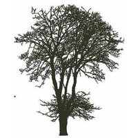 Encaustic Art stempel - Baum Esche