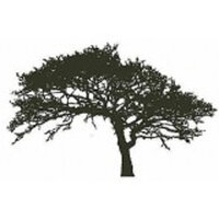 Encaustic Art stempel - Baum Eiche